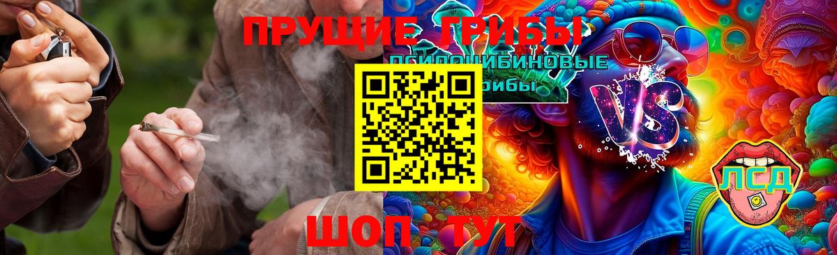 Кольчугино  Галлюциногенные грибы Psilocybe  Вход с VPN 