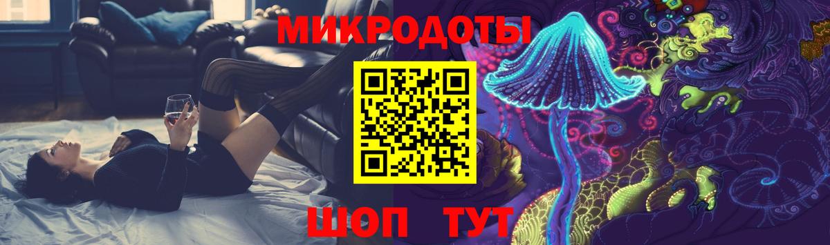 Псилоцибиновые грибы Psilocybe Кольчугино