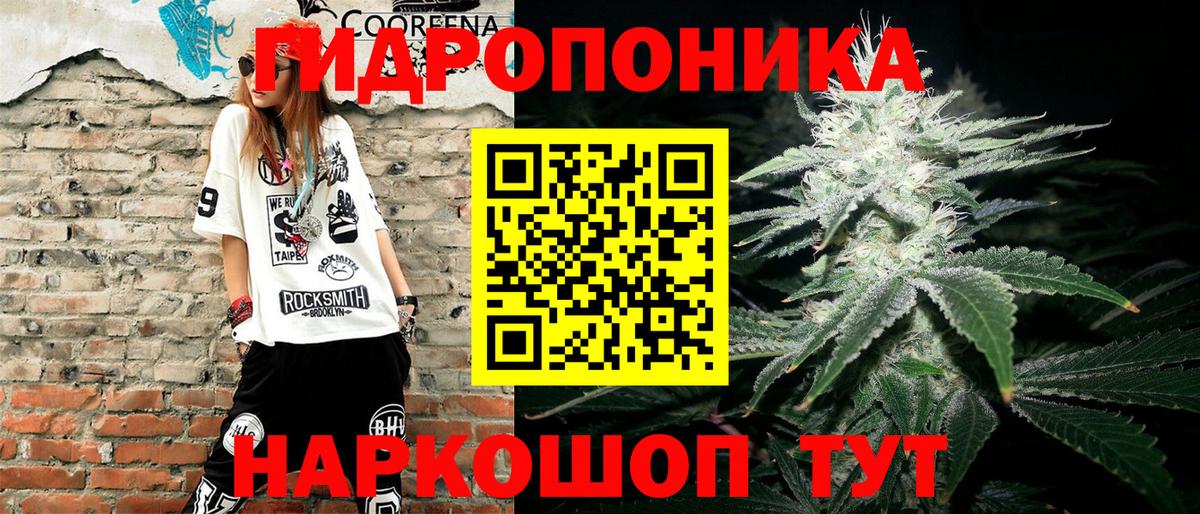 Конопля сатива Кольчугино